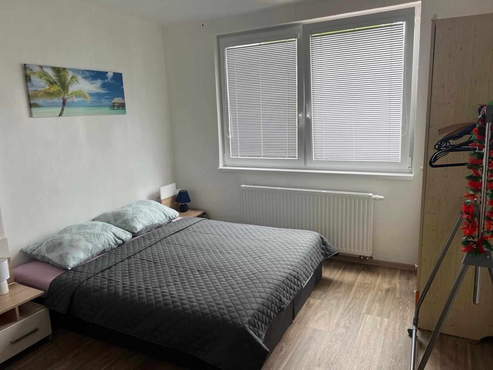Star Apartment